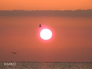 %e3%82%86%e3%81%86%e3%81%b23dscn5710