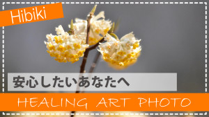 雛形_サムネイル - 毎日使かう用