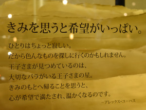 たかしまやDSC_0889