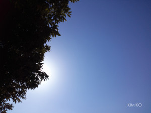 %e7%a7%8b%e3%81%b5%e3%81%8b%e3%81%9710147