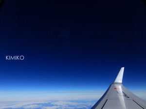 %e3%82%bd%e3%83%a95241