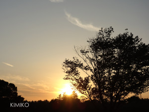 %e3%81%93%e3%81%8809825