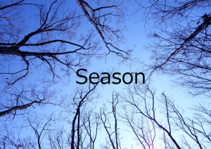 Season
