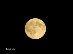 %e3%81%be%e3%82%93%e3%81%92%e3%81%a4