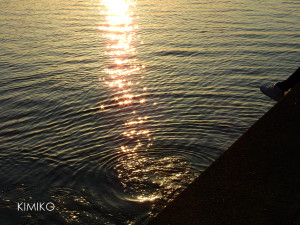 %e3%81%b2%e3%81%8b%e3%82%8adscn5653