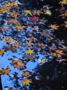 %e3%82%82%e3%81%bf%e3%81%981