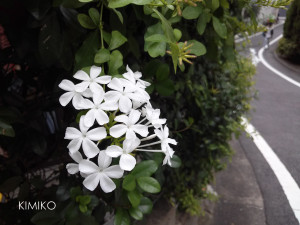 %e3%81%bf%e3%81%a110194